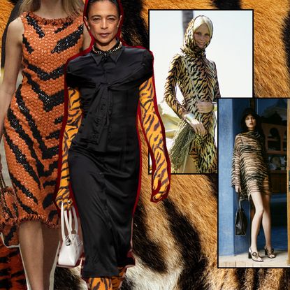 a collage of the 2026's tiger print trend featuring tiger print clothing on models and in runway shows
