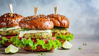 Veggie based protein burgers