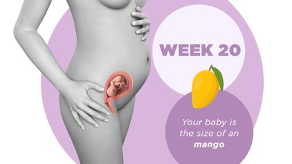 20 weeks pregnant 