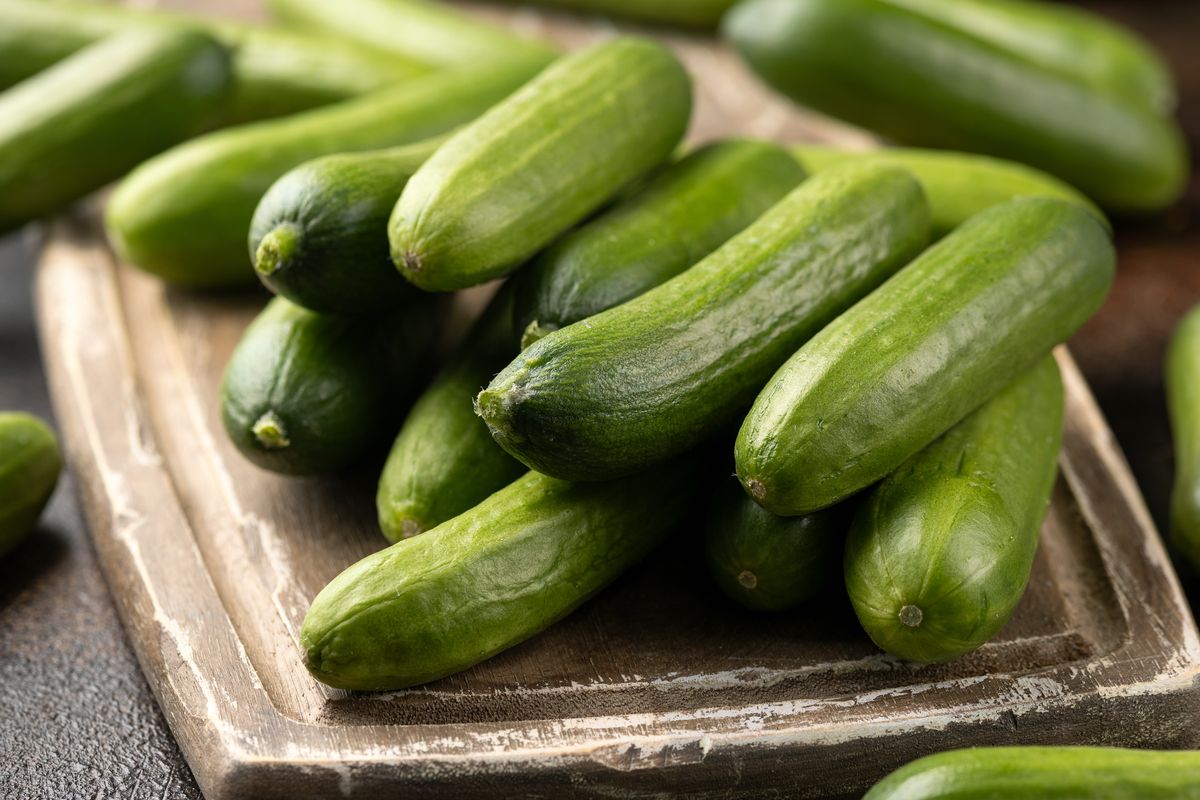 Cucumbers recalled after multistate Salmonella outbreak leaves dozens sick