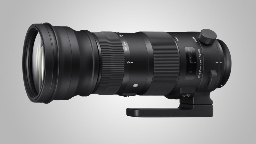 Best super telephoto zoom lenses great lenses to get closer to the