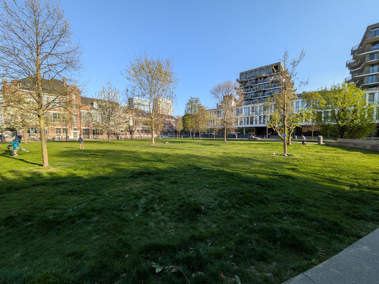 Voorbeeldfoto Google Pixel 9a