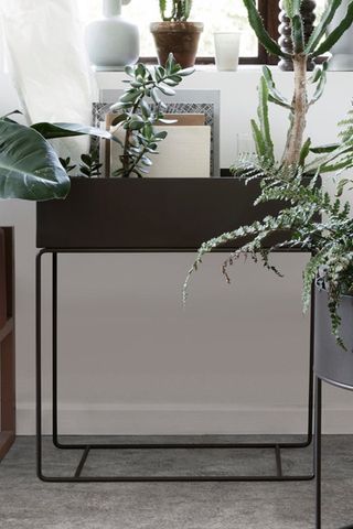 Outdoor planters: Image of Horne box planter