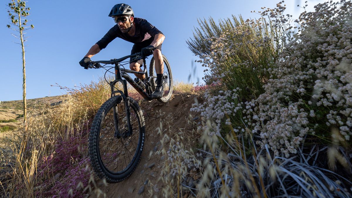 Giant Stance bike being ridden on a trail