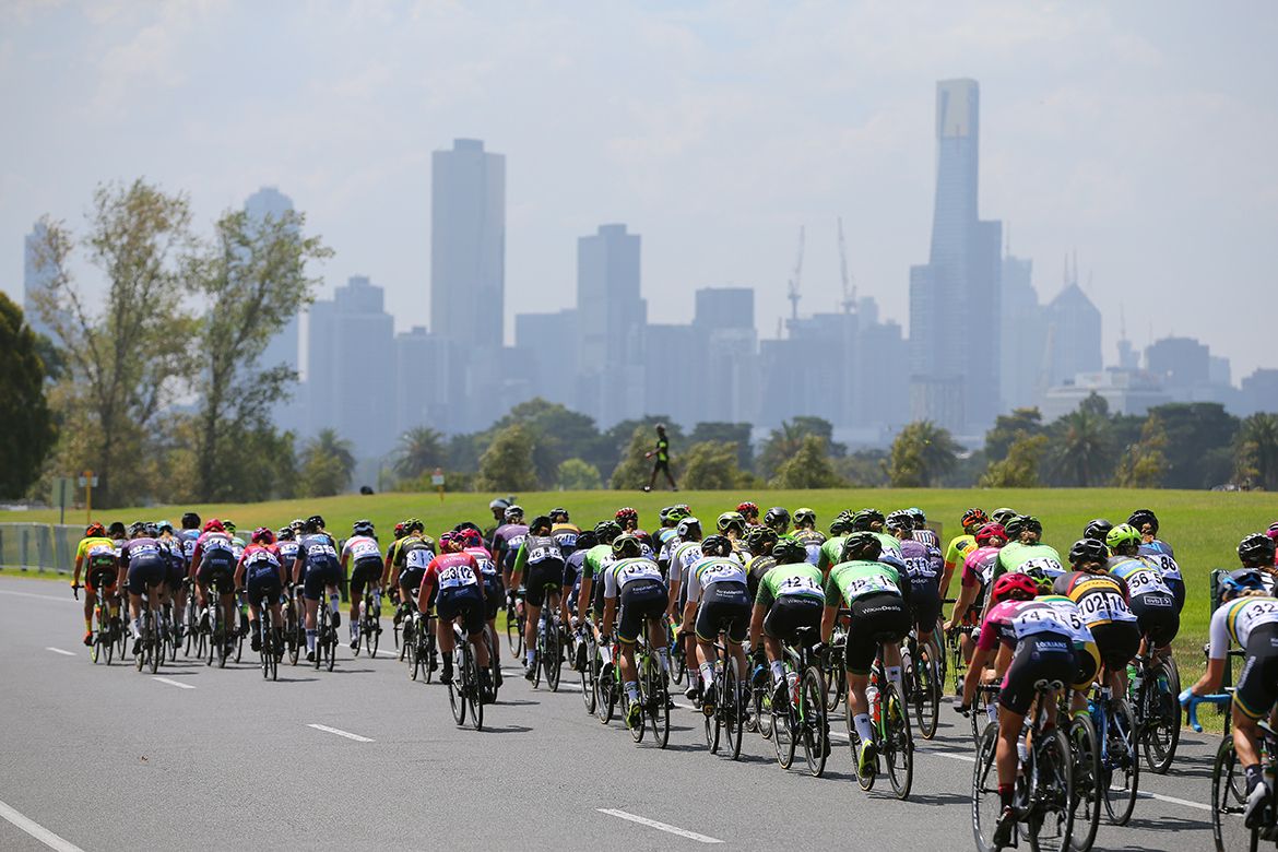 Racing towards the Melbourne skyline