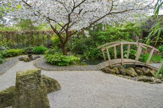 Zen garden ideas: small bridge and gravel path with blossom overhead in Japanese-inspired Zen garden