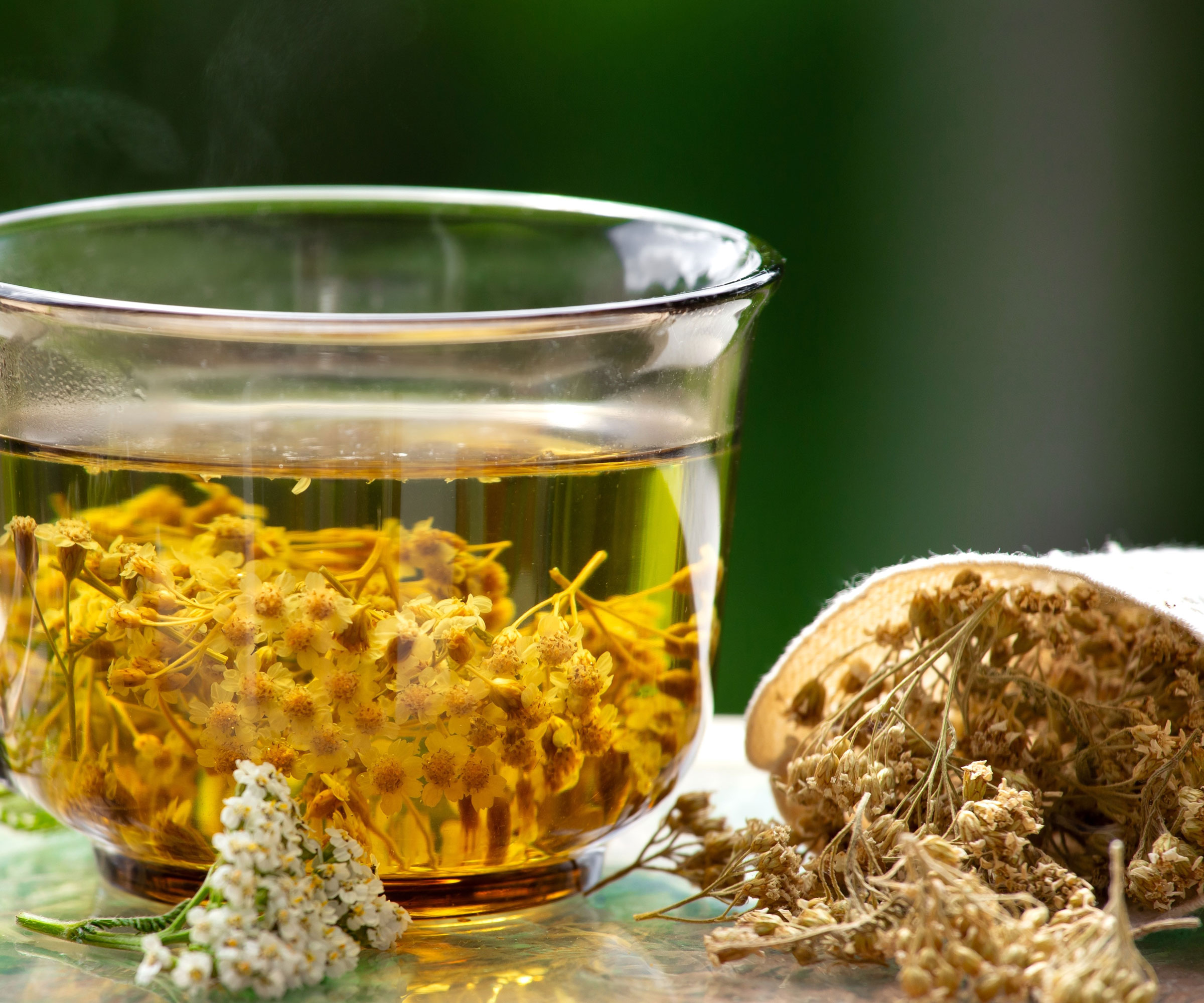 harvested yarrow buds in glass bowl of water