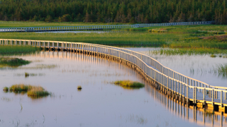 The boardwalk across wetland in Prince Edward Island National Park