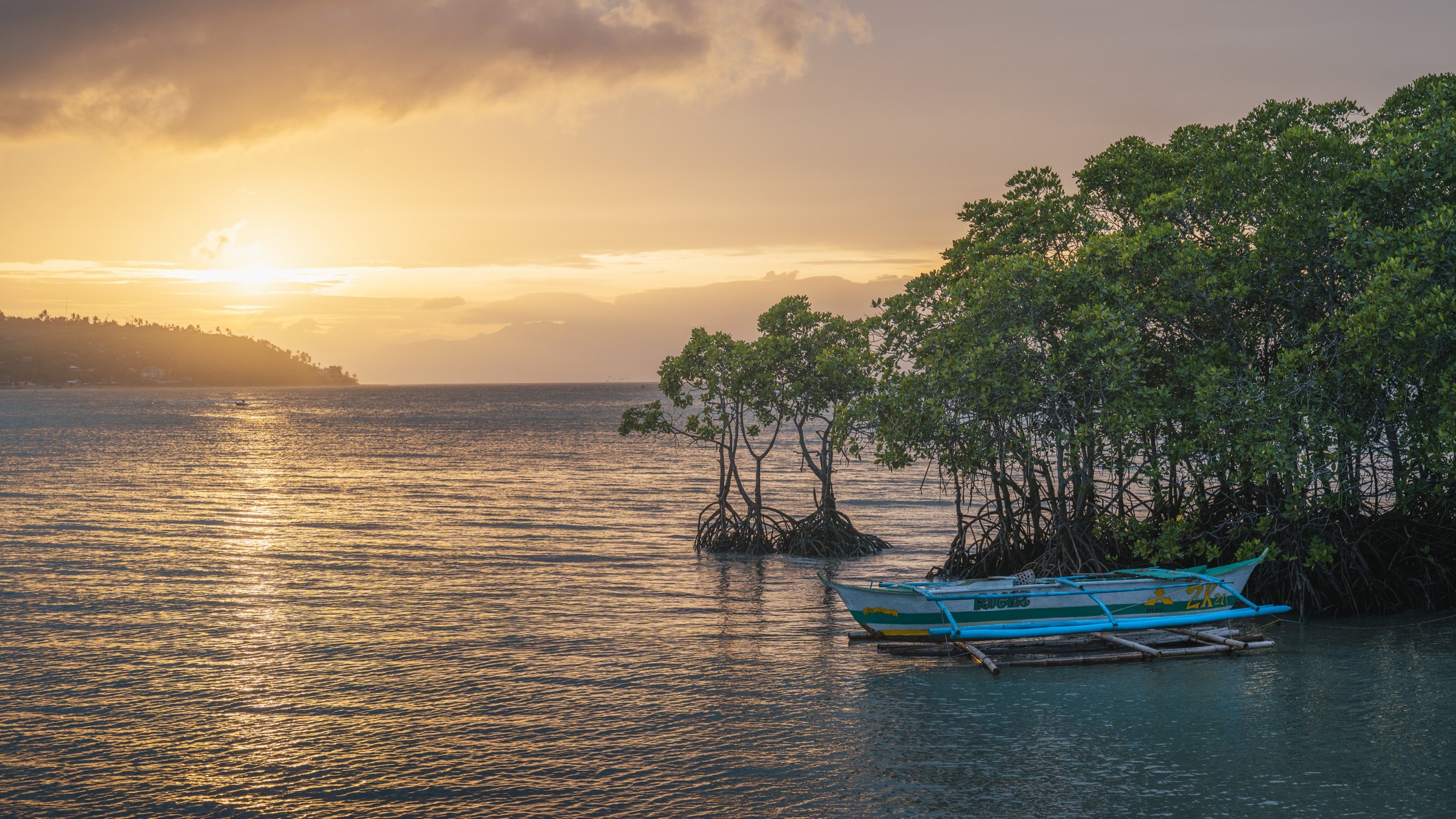 An empty boat floats next to mangroves at sunset.