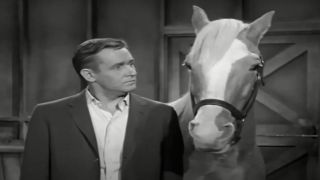 Alan Young and the horse in Mr. Ed