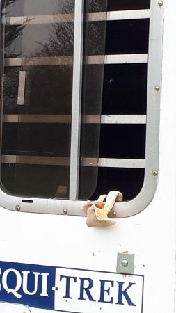 Fungus-e1543597611392.jpg