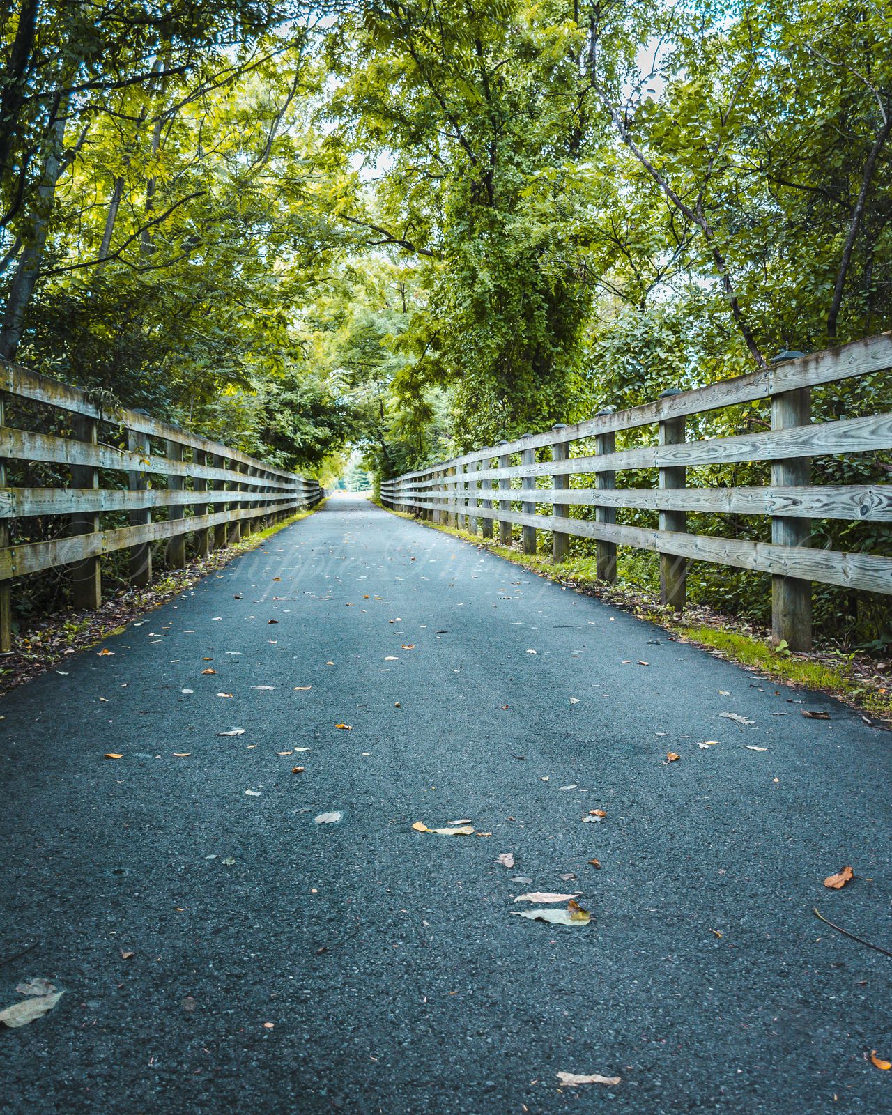GuruShots - Nature March 2026