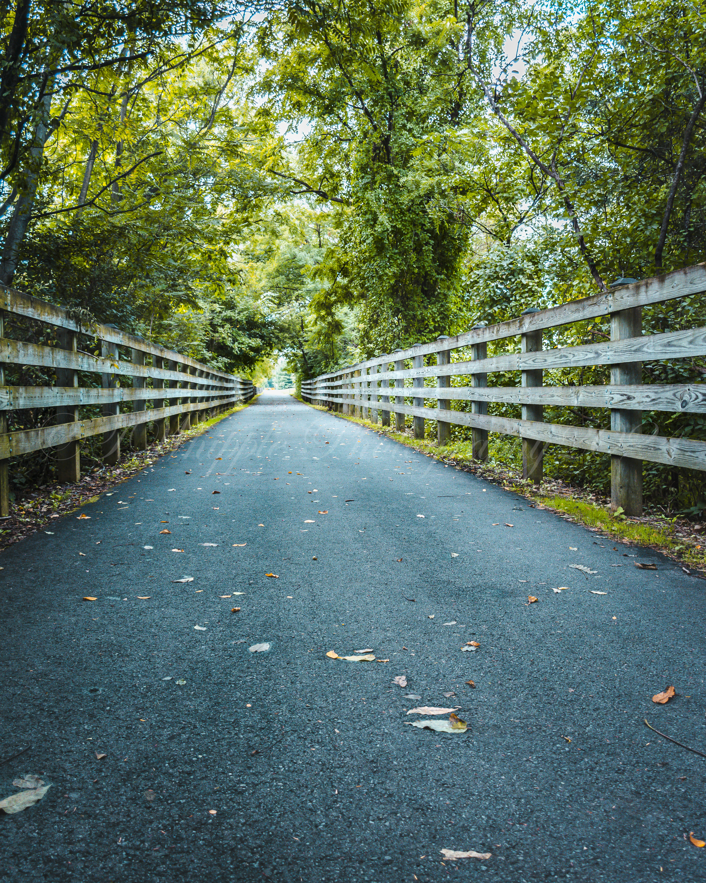 GuruShots - Nature March 2026