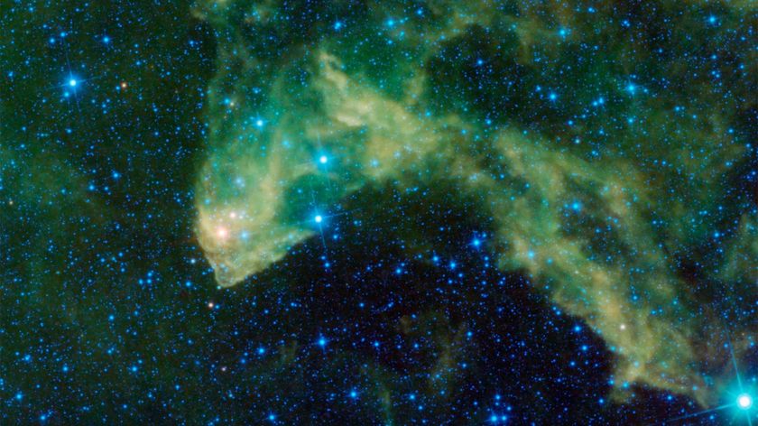 Infrared WISE image of LBN 437, which is nicknamed the Gecko Nebula for its resemblance to a downturned lizard head with a pointed snout. This cloud of dust and gas is a region of star formation.