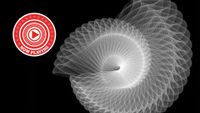 Lamb Backspace Unwind album cover with the WHF Now Playing roundel