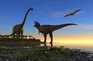 An illustration of dinosaurs and a pterodactyl overhead.