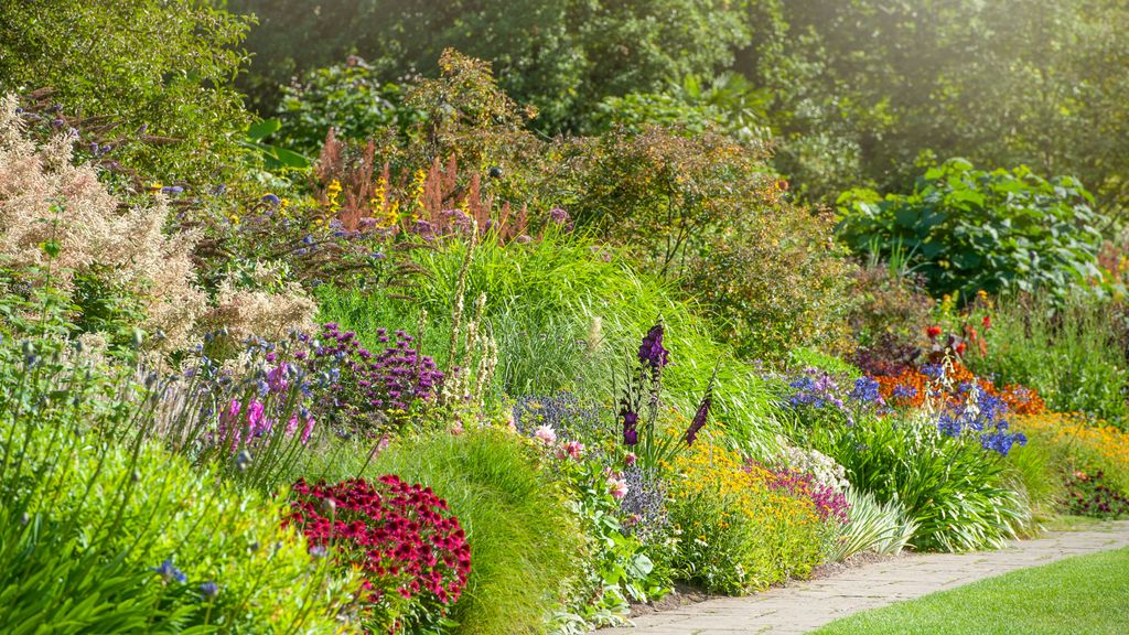 Gardening expert reveals her favorite plant for garden color all year ...