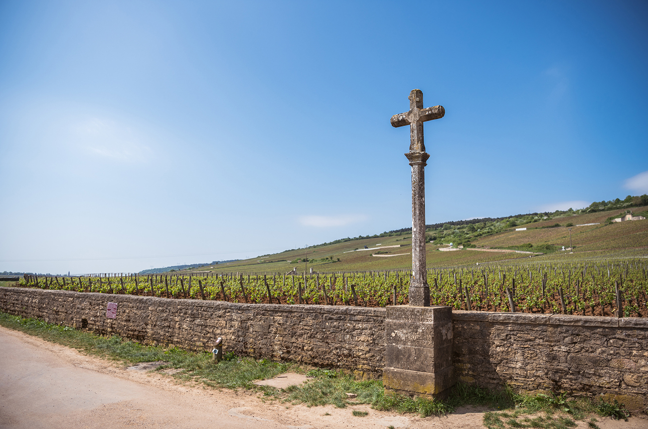 Roman&eacute;e-Conti vineyard