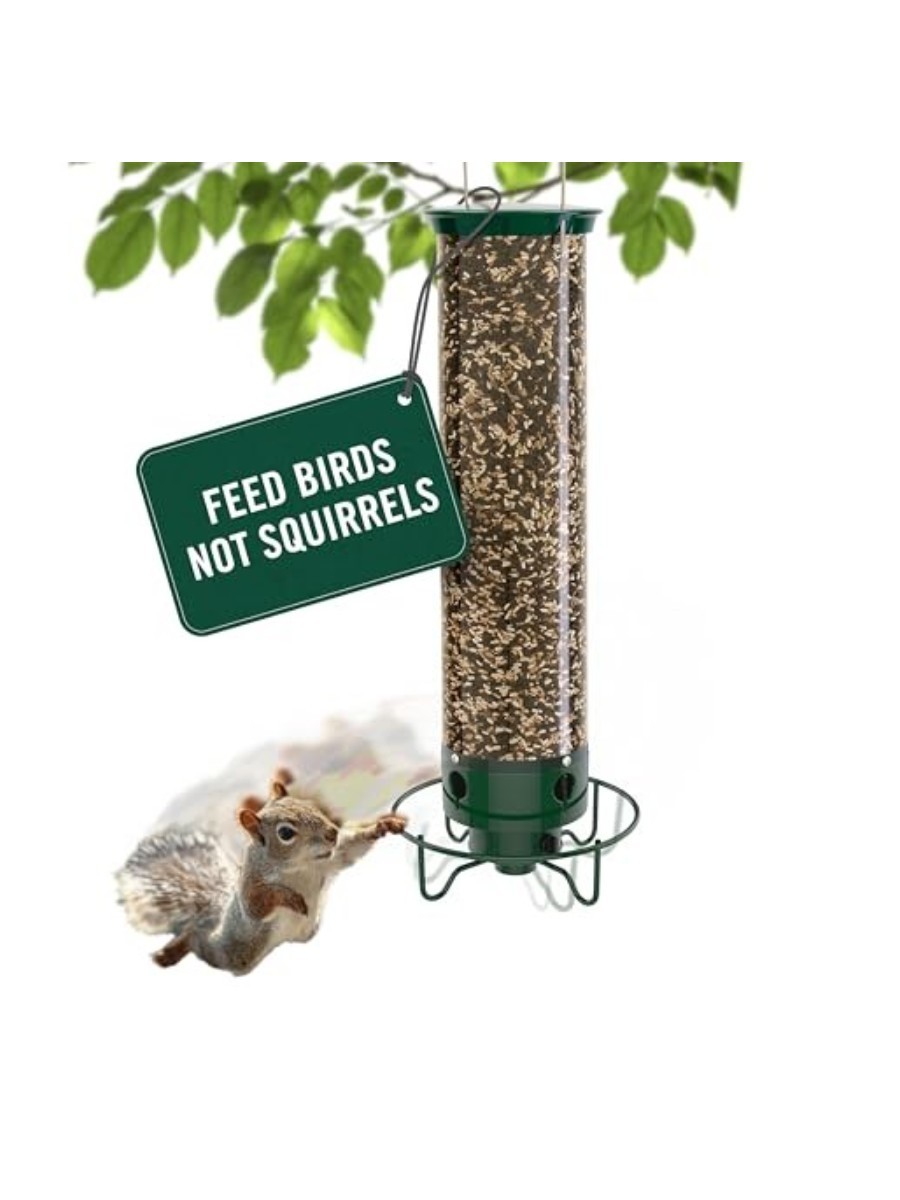 Droll Yankees, Droll Yankees Squirrel Proof Bird Feeder