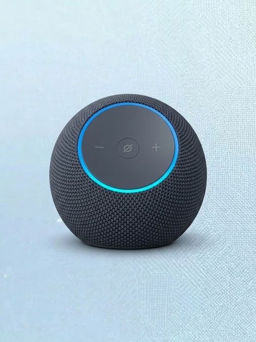 Amazon Echo Dot Max