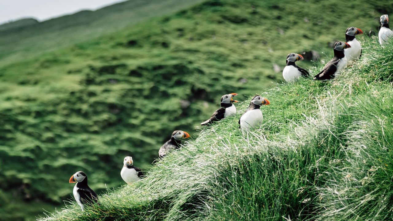 Faroe Islands