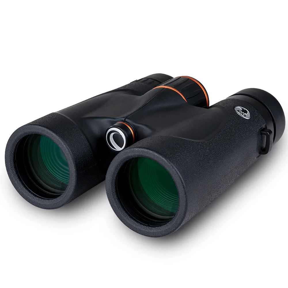 Celestron Regal ED 10x42 on a white background