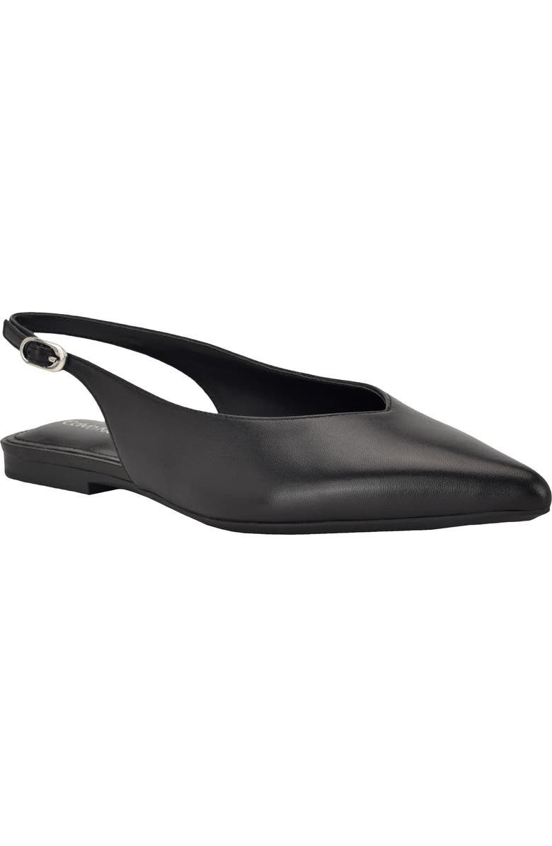 Galiana Slingback Pointed Toe Flat