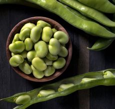 Fresh-picked broad beans, a taste of simplicity and perfection.