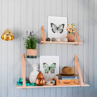 grey wall room with shelf on wall and plant with butterfly image
