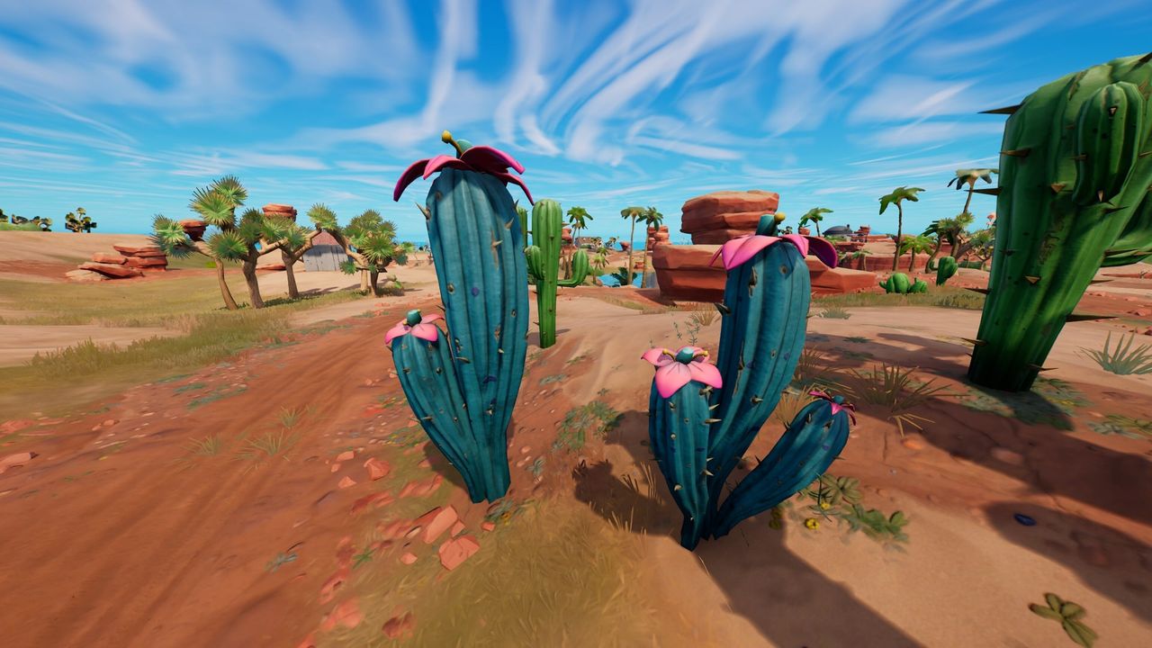 fortnite cactus locations