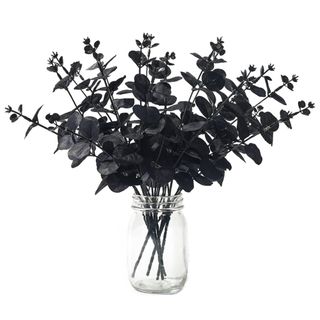 Black eucalyptus bouquet in a glass vase