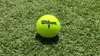 Wilson Roland Garros Clay Court Ball
