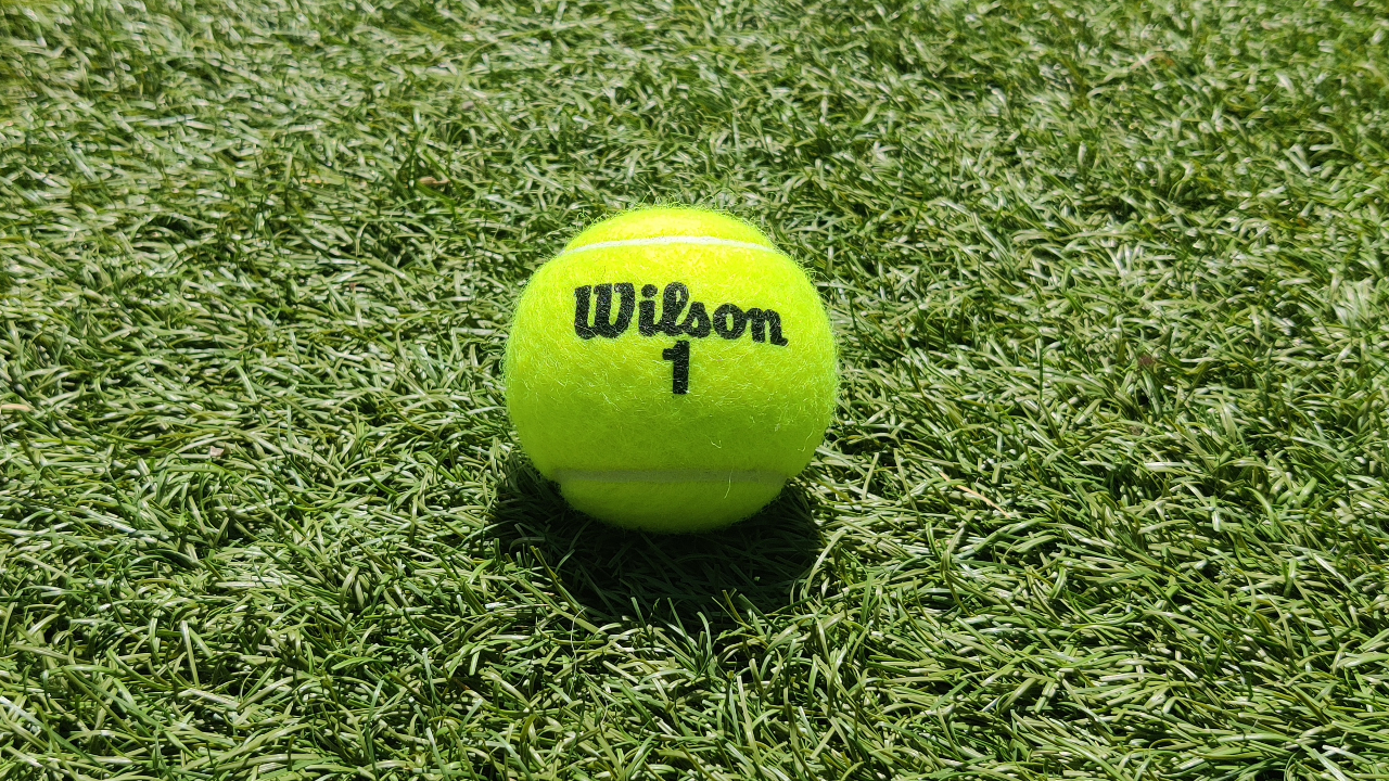 Wilson tennis ball