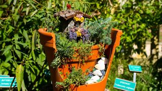 A broken garden pot with seashells, plants and a little fairy house for the garden