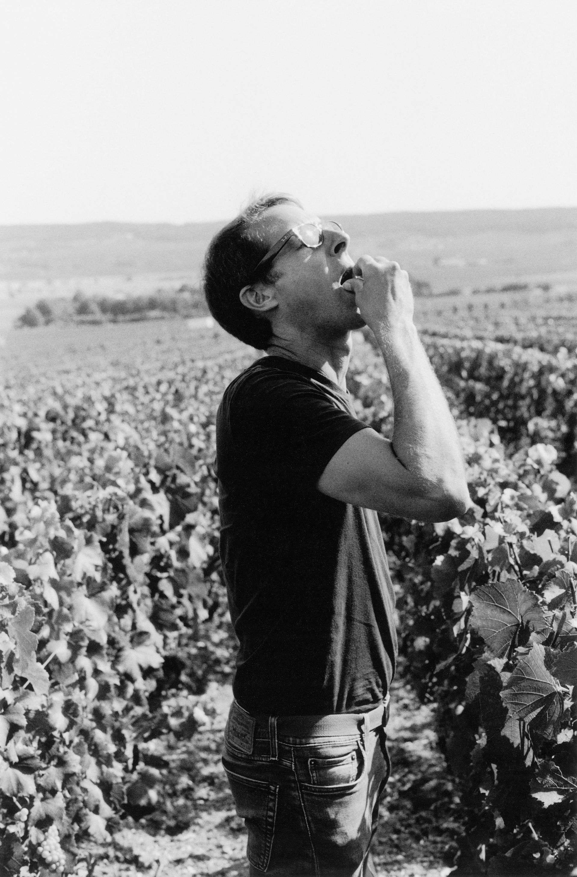 Dom Pérignon’s chef de cave Vincent Chaperon tasting grapes