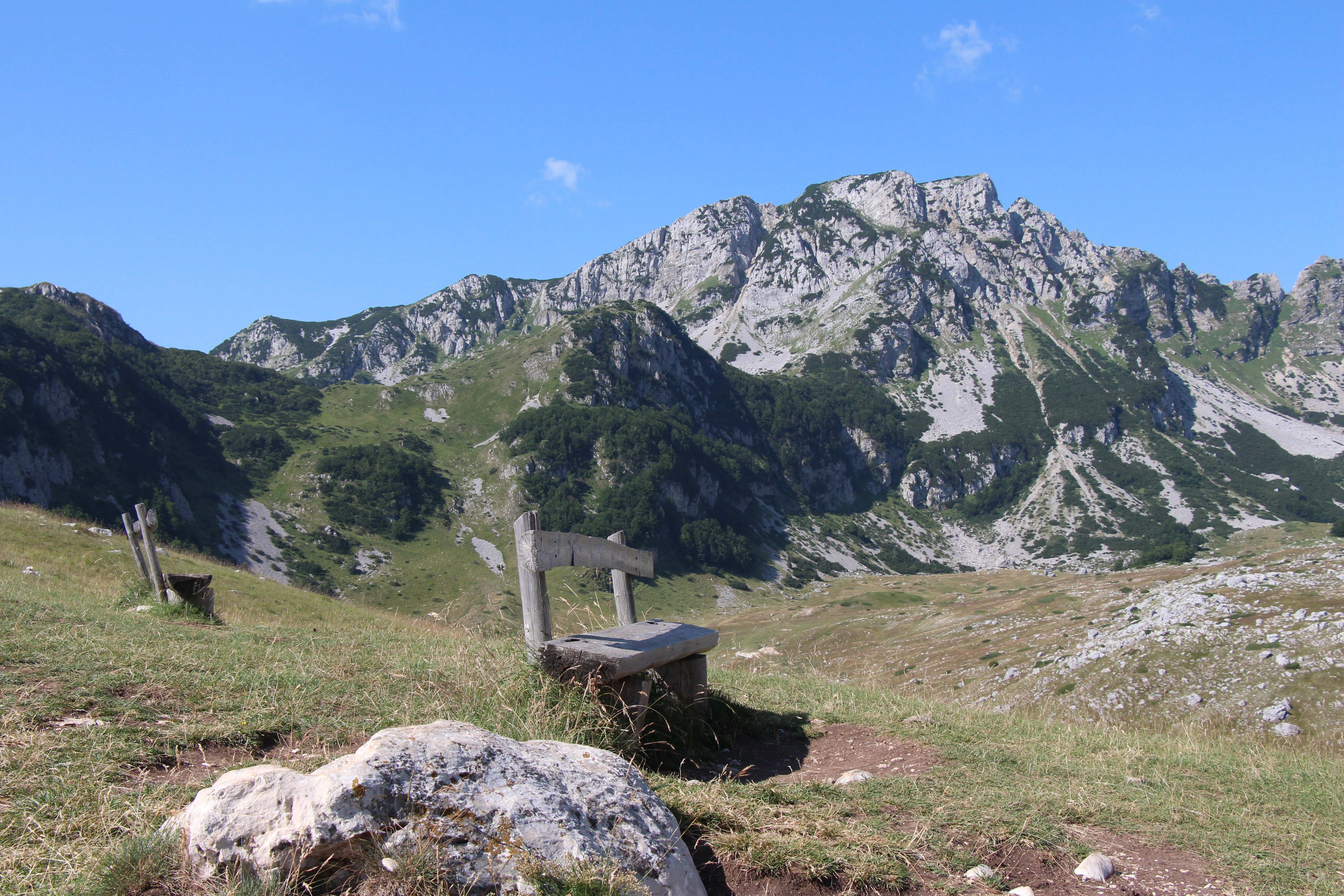 GuruShots - Nature March 2026