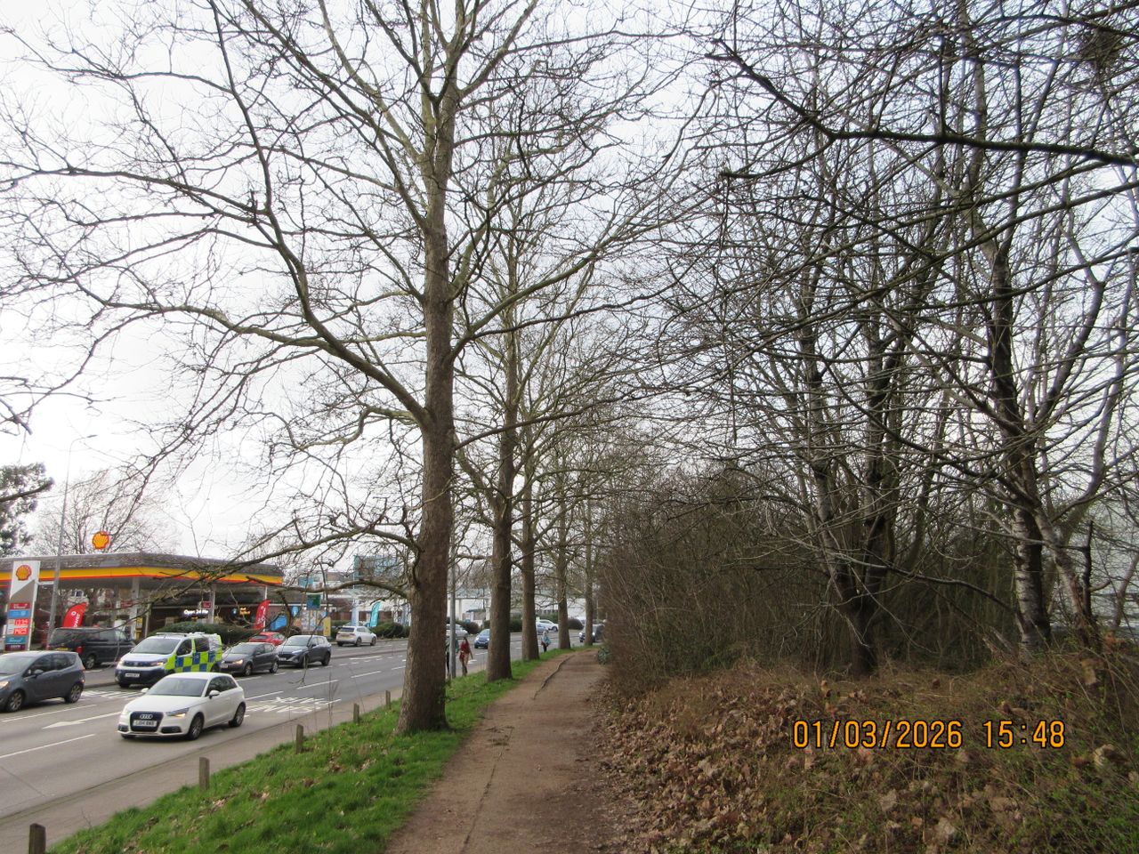 A photo taken on a Canon PowerShot Elph 360 HS A / IXUS 285 HS A compact camera