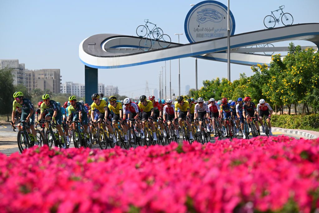 DUBAI HARBOUR DUBAI UNITED ARAB EMIRATES FEBRUARY 22 LR Attila Valter of Hungary and Team VismaLease a Bike Milan Fretin of Belgium and Team Cofidis Mikkel Bjerg of Denmark and Team UAE Emirates Christophe Noppe of Belgium and Team Cofidis Natnael Tesfatsion of Eritrea and Team LidlTrek and a general view of the peloton competing during the 6th UAE Tour 2024 Stage 4 a 168km stage from Dubai Police Officers Club to Dubai Harbour UCIWT on February 22 2024 in Dubai United Arab Emirates Photo by Tim de WaeleGetty Images