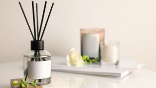 Reed oil diffuser