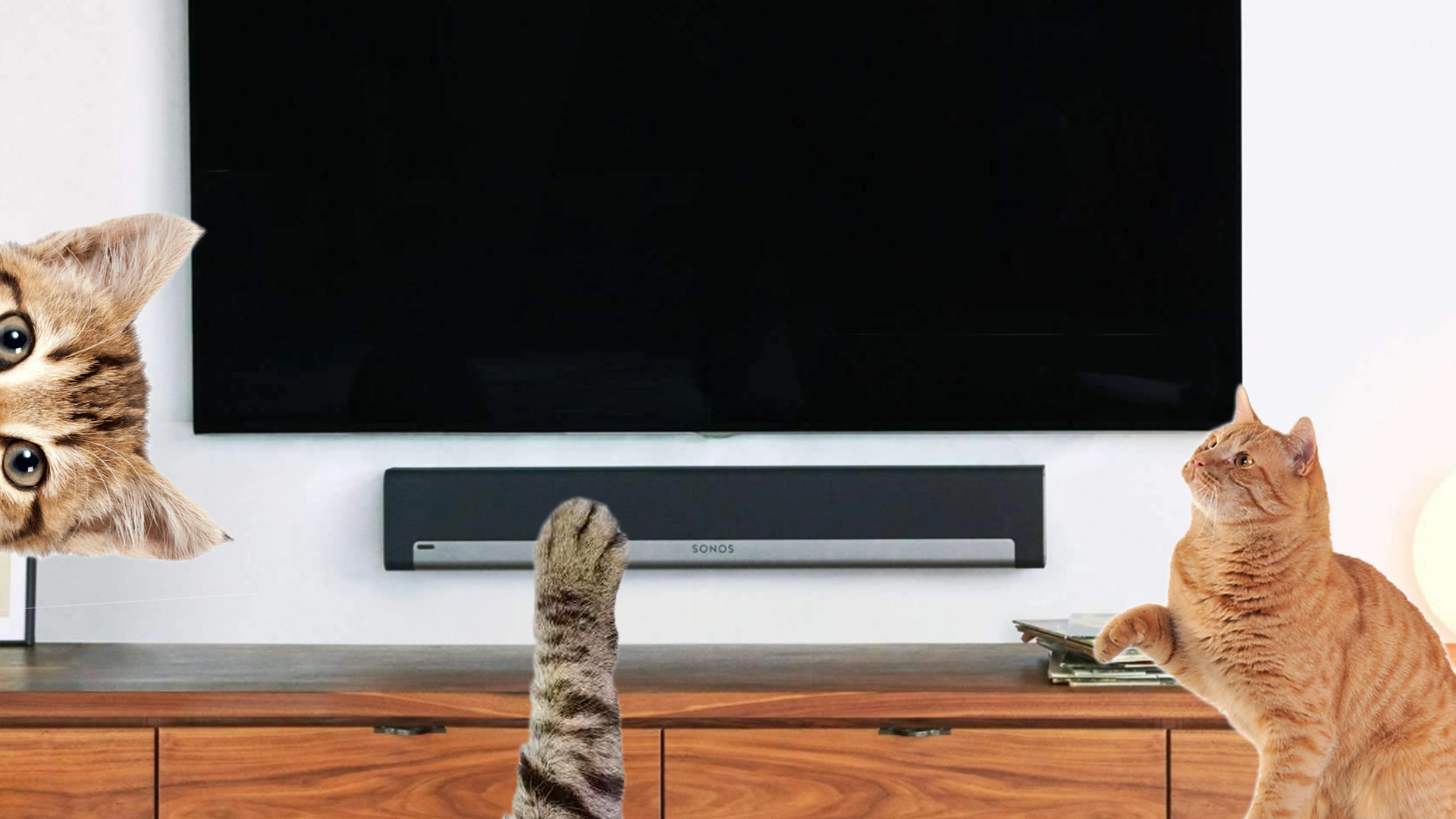 sonos playbar with cats