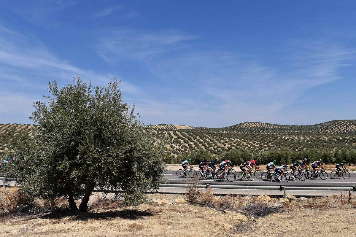 The peloton go by
