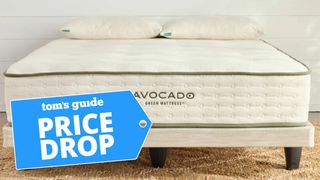 Avocado green mattress on bed frame