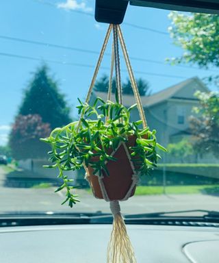 Mini macrame plant hanger for car, Etsy