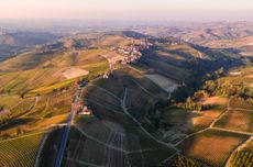 Barolo 2015 Vintage Report