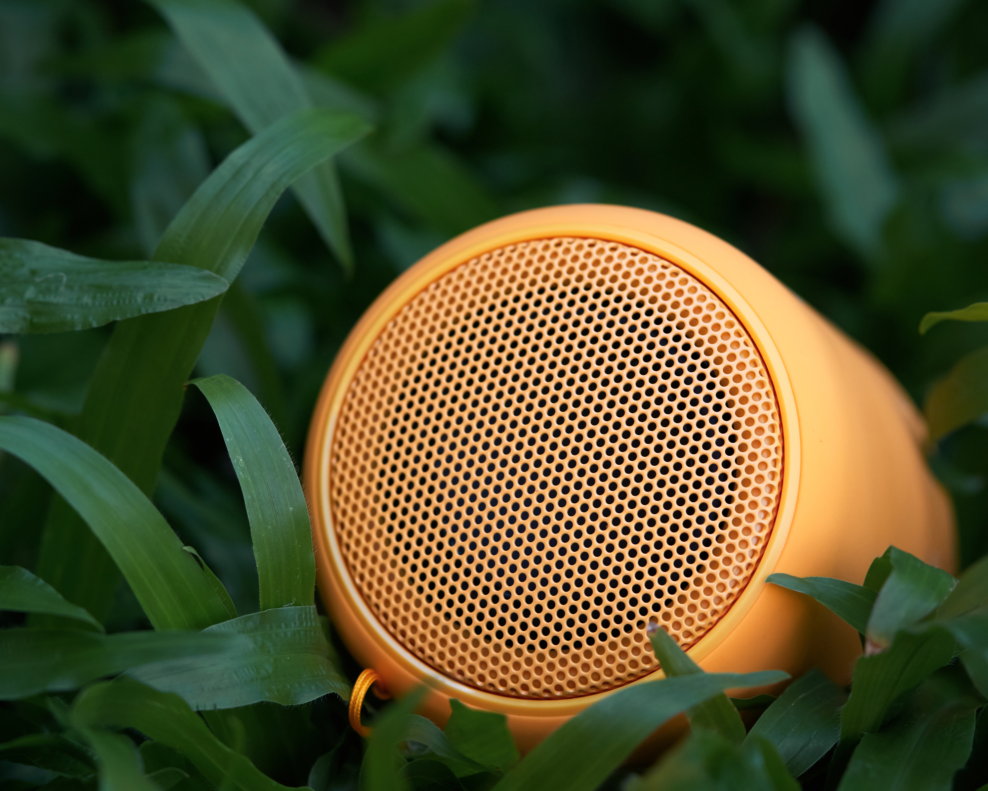 Orange speaker in garden