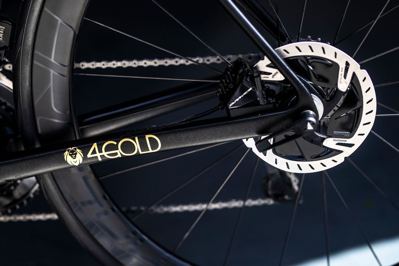 24 karat gold Canyon signed by Mathieu van der Poel