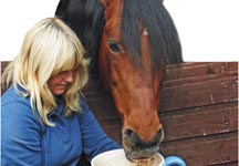 teahorse.jpg