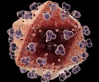 hiv-virus101019-02