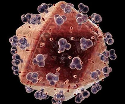 hiv-virus101019-02
