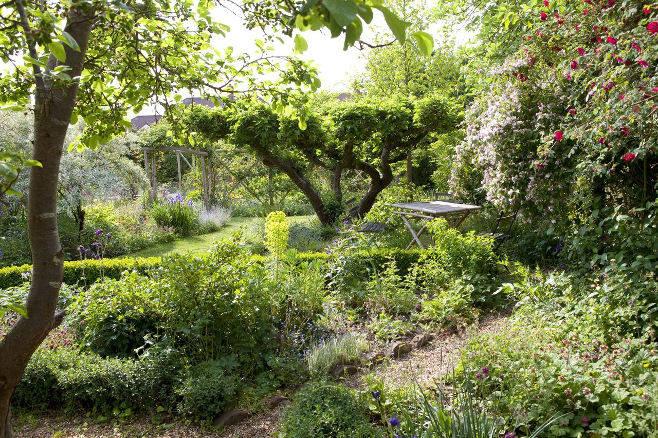 Explore this delightful cottage garden – home to a national collection ...